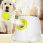 Interactive Ball Launcher