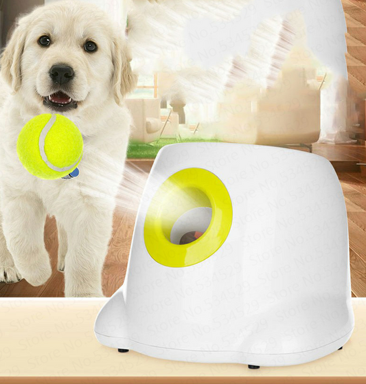 Interactive Ball Launcher