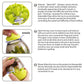 Interactive Treat Dispenser